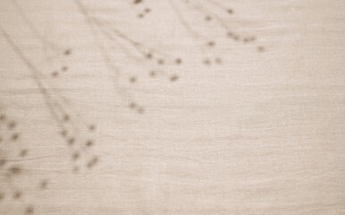 Abstract neutral background. Shadow from plants (flax sprigs) on beige fabric. Top view, free space for text. Shadow for natural light effects.