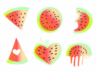 Vector watermelon icons set. Summer illustration. Fresh fruit.