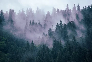 Papier peint photo  Misty mountain landscape  © Roxana