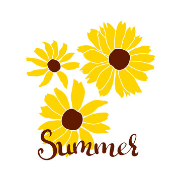 Open heliopsis summer banner blossom vector color illustration isolated on white background. Vector sketch style top view hand drawing of wild, heliopsis, false sunflower.