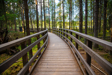 Obraz premium wooden bridge in the forest
