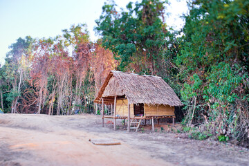 Fototapeta na wymiar Thatched-roofed hut located near the coast.