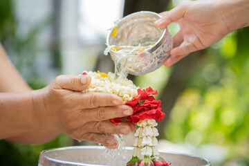 Family are watering on the elderly or respected grandparents Hand of young pour water and flowers on the Elder hands holding jasmine garland for the songkran festival.