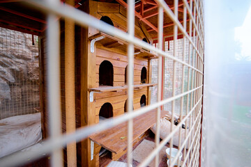 A closeup view of a house for stray cats in Turkey. © Loginova