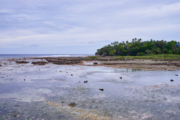 Beautiful landscape. Low tide on the tropical ocean beach with palm trees.