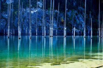 mountain lake with trunks of flooded fir trees
