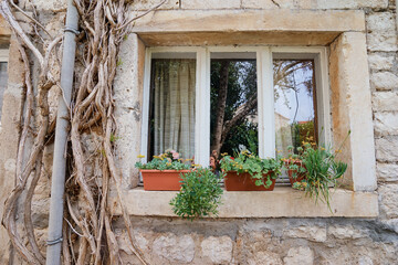 Pots with plants on the window of old stone house.