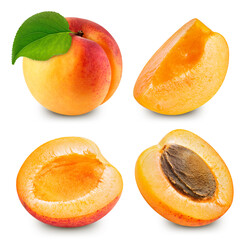 Apricot collection. Fresh organic apricot isolated on white background. Apricot macro. With clipping path