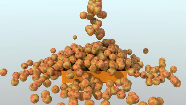 Animazione 3D con riempimento di contenitore con mele