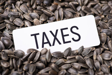 Paper with inscription Taxes on sunflower grain. High taxes on import of sunflower grain
