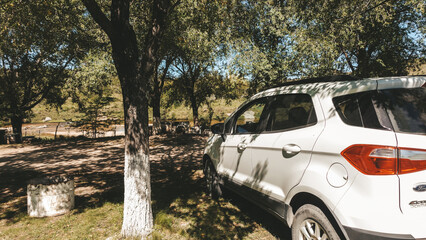 car parked in the park with trees. picnic