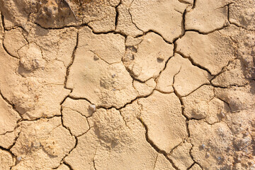 Relief of the earth after the drought caused by global warming