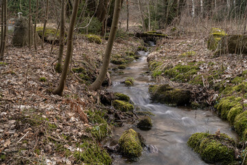 Kleiner Bach im Folgental bei Weifa in der Oberlausitz
