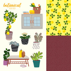 illustration of botanical plants with interior