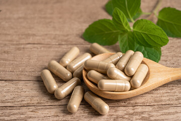 Alternative medicine herbal organic capsule with vitamin E omega 3 fish oil, mineral, drug with...
