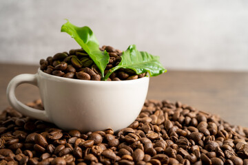 Coffee bean medium roasted in  a cup with leaf in fresh morning.