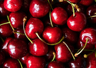 Fresh raw cherry background. Close up of bright red cherries with drops of water. Healthy eating concept.