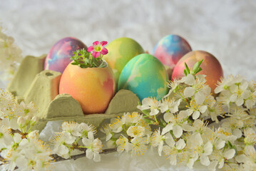 Easter Eggs Dyed in Pastel Tones with a Small Flower Growing from an Eggshell, All in a Cardboard Tray with White Blooming Plum Branches around Decoration Still Life