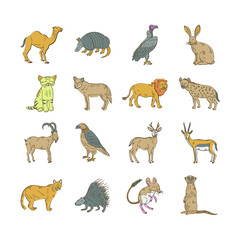 Large set of adorable wildlife in Africa. Bundles of cute funny exotic cartoons African mammal isolated animals on a white background.
