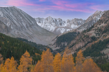 Autumn landscape at dawn with aspens and conifers, Elk Mountains, Castle Creek Road, near Aspen, Colorado, USA