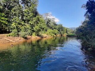 The river that flows through the middle of the forest / KURU GAGA / RATHNAPURA,SRI LANKA