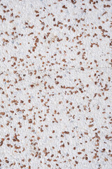 White and brown small pebble wall texture background. Interior or exterior decoration quality materials.