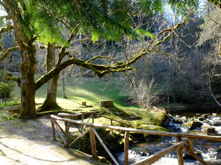Rigole du Diable- Creuse