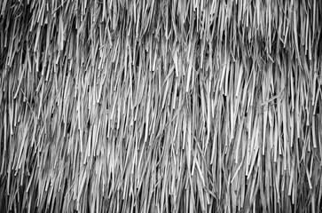 Thatched Grass in Black and White.