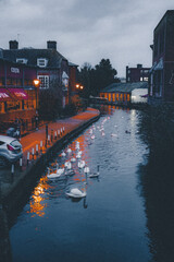 Fototapeta premium city canal at night