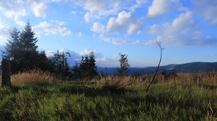 Obraz premium The Carphatians, a mountainous world where the forrests touch the sky