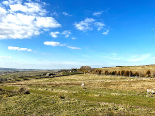 Obraz premium View over the fields and hills, on a sunny winters day near, Sawood Lane, Oxenhope, UK