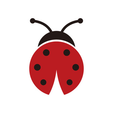 Ladybug vector icon illustration sign	