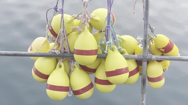 Bobbing Dock Bumpers Hanging from Boat Rail