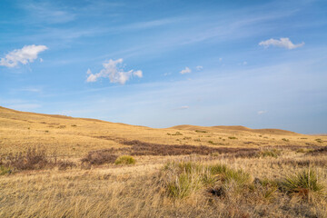Fototapeta na wymiar cumulus and cirrus clouds over grassland in northern Colorado, early spring scenery of Soapstone Prairie Natural Area
