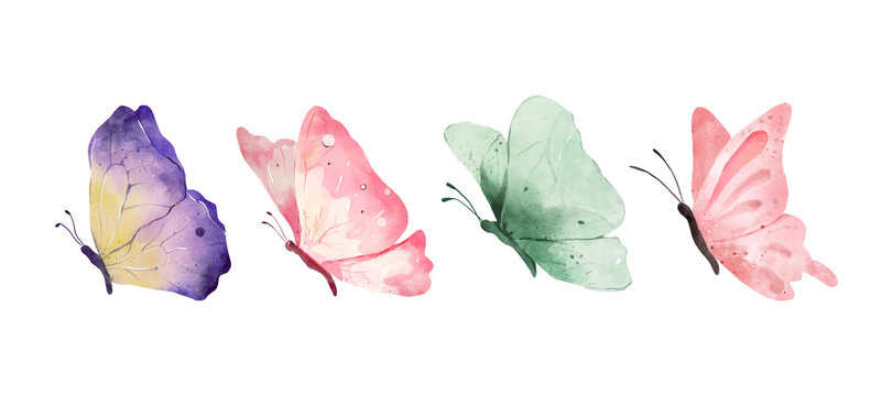 Colorful butterflies watercolor isolated on white background. Purple, yellow, green and pink butterfly. Spring animal vector illustration