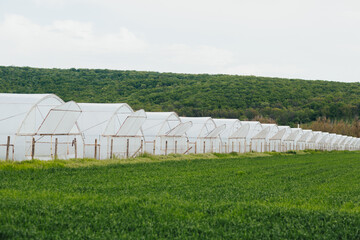 Fototapeta na wymiar Organic farm in countryside with greenhouses ready for plant and cultivate the vegetables.