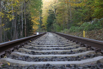 railway tracks detail, direct bottom view of the tracks leading between the rocks and the forest