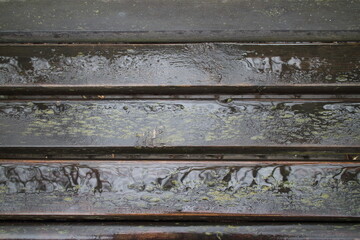 wet planks of an old park bench