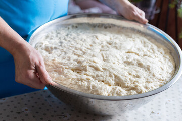 Woman holding bowl with dough. Closeup, selective focus.