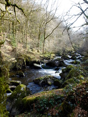 Obraz premium Rigole du Diable- Creuse