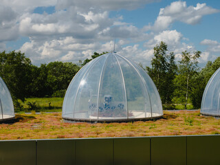 Ecosystem Field Research Centre in Maasmechelen.
