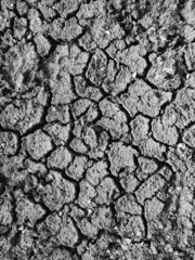 Dry cracked earth. Land background with copy space. Concept of global warming