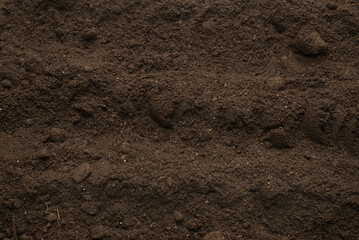 Black land for plant background. Top view.