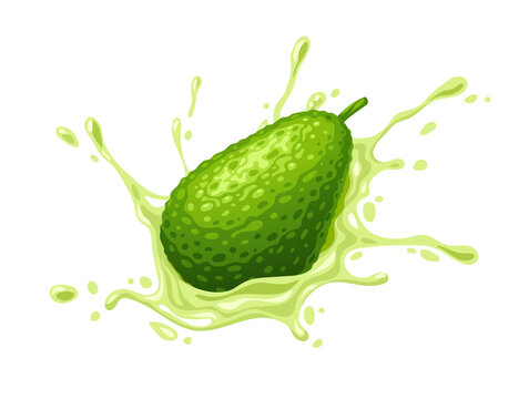 Green fruit avocado with juicy splash. Ripe green vegetable, isolated on white background, Ingredient for Mexican Guacamole sauce. Eps10 vector illustration.