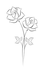 drawing of two roses together, beautiful design in black and white. you can print it on 12x18 inch or smaller size without losing quality