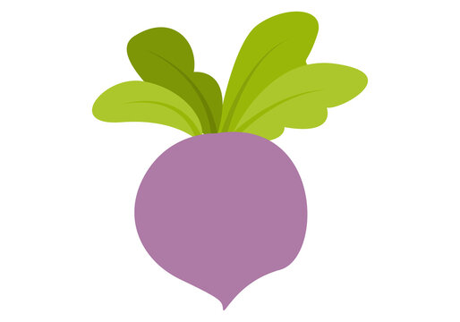 Icono de nabo morado en fondo blanco. 