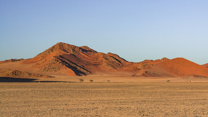 Fototapeta na wymiar Desert landscape with Red sand dunes in Sossusvlei, Namib-Naukluft National Park, Namibia 