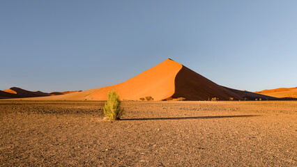 Fototapeta na wymiar Red sand dunes in Sossusvlei, Namib-Naukluft National Park, Namibia 