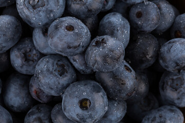 blueberries with water drops close up