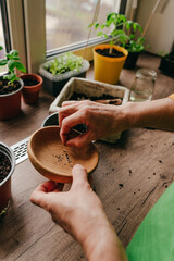 Woman planting tomato seeds in a flower pot